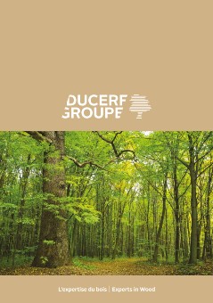 Brochure Ducerf Groupe FR-EN